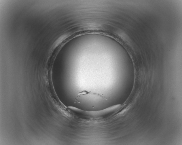 X0000066970970200603241206