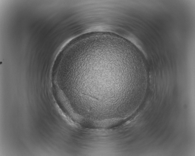 X0000066970972200603241206