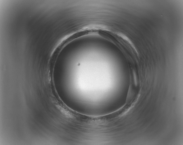 X0000066970973200603241206