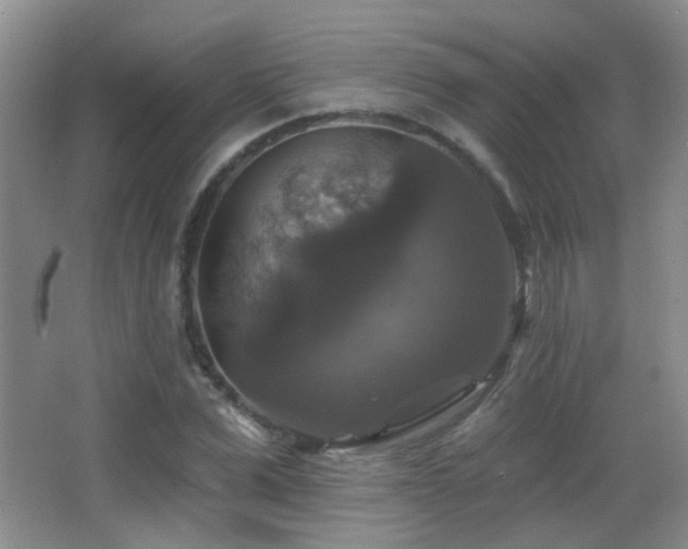 X0000066970975200603241206