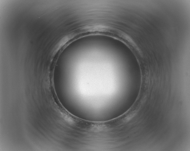 X0000066970978200603241206