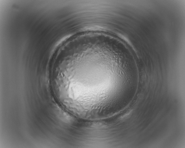 X0000066970979200603241206