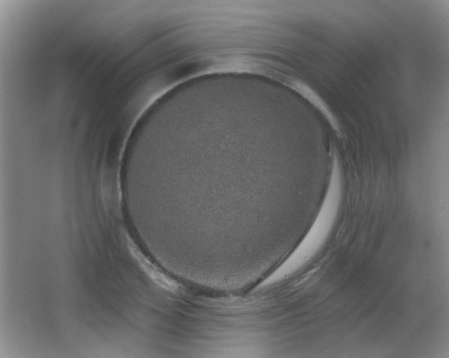 X0000066970980200603241206