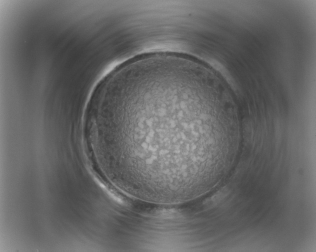 X0000066970982200603241206