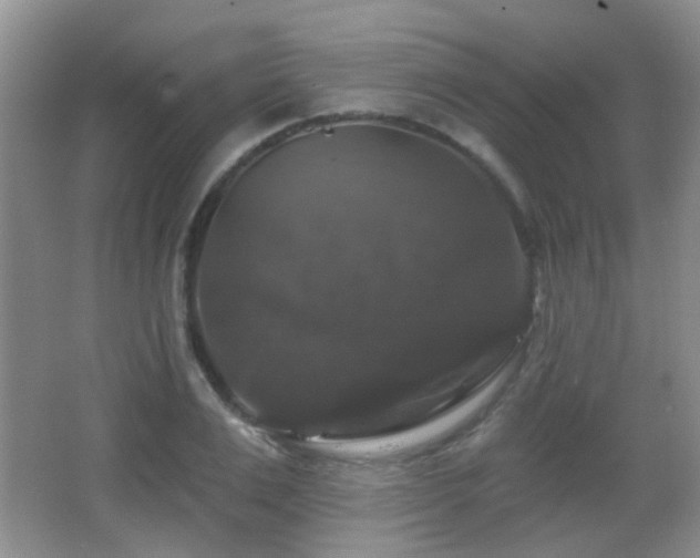 X0000066970983200603241206