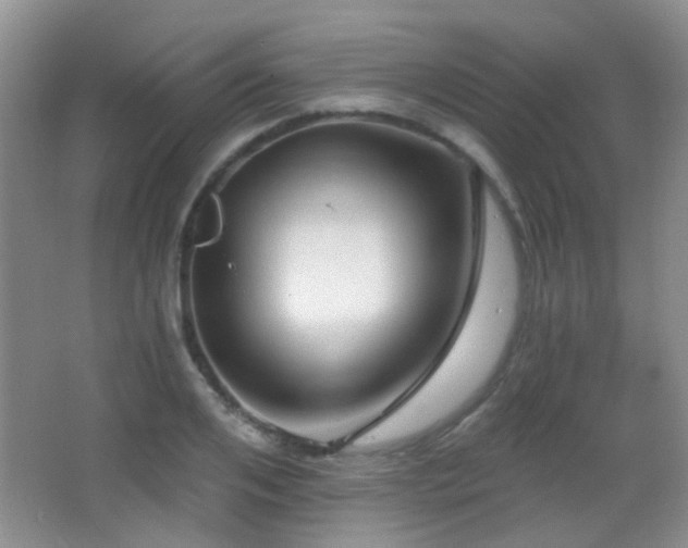 X0000066970984200603241206