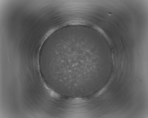 X0000066970986200603241206