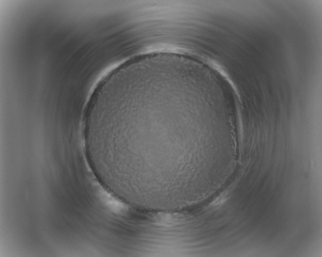 X0000066970987200603241206