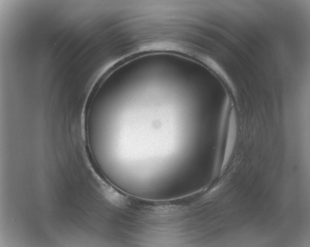 X0000066970988200603241206