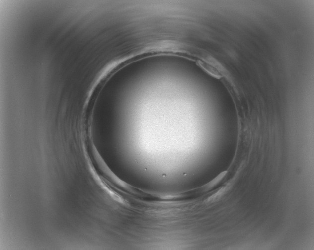 X0000066970989200603241206