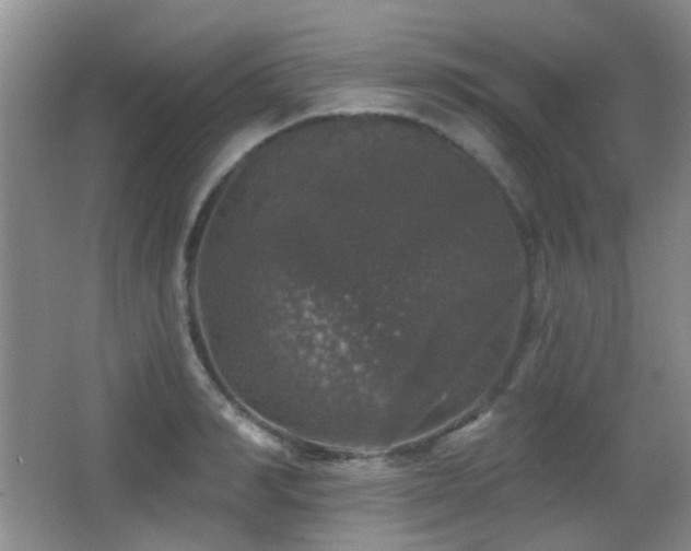 X0000066970990200603241206