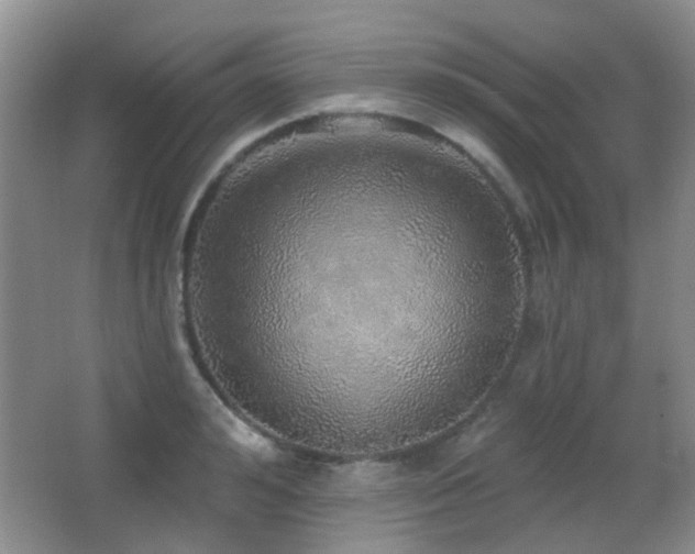 X0000066970992200603241206