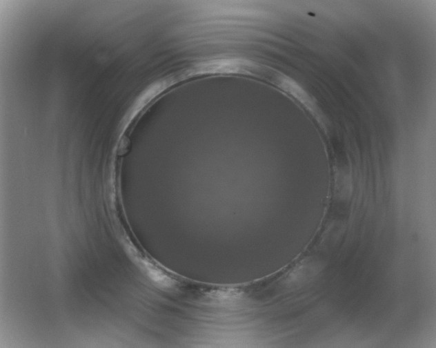 X0000066970994200603241206