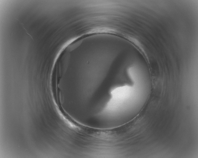 X0000066970995200603241206