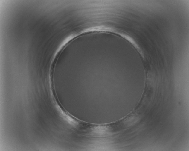 X0000066970998200603241206