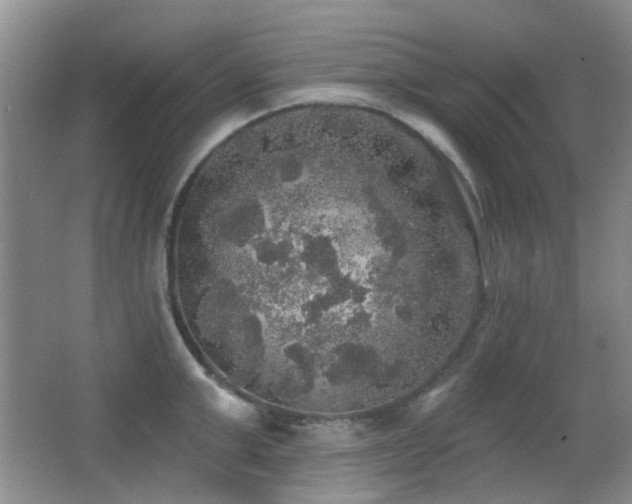 X0000066970999200603241206