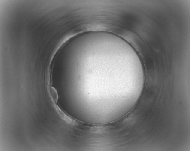 X0000066971000200603241206