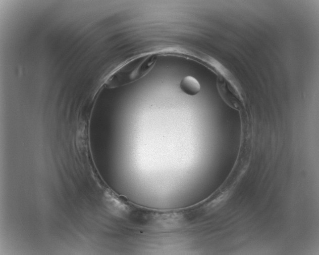 X0000066971001200603241205