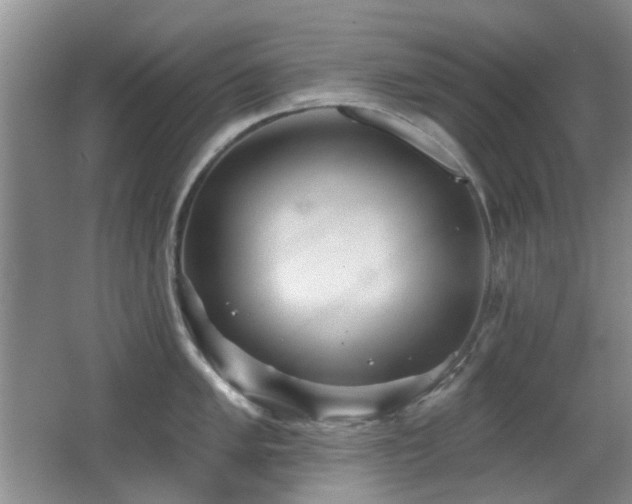 X0000066971005200603241205