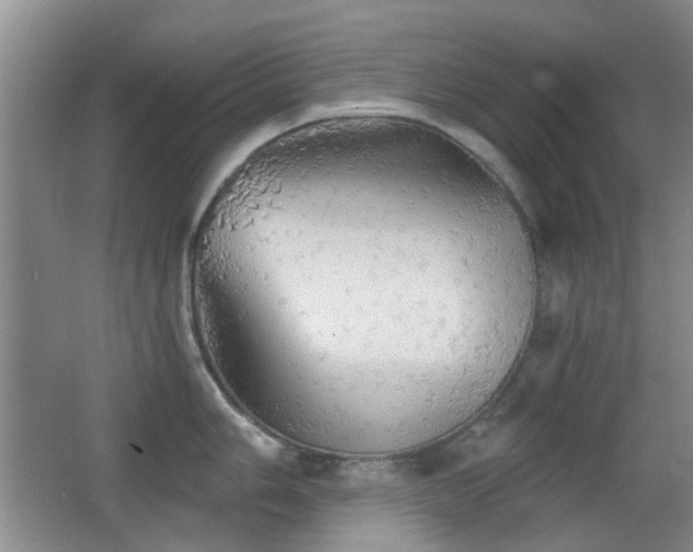 X0000066971006200603241205