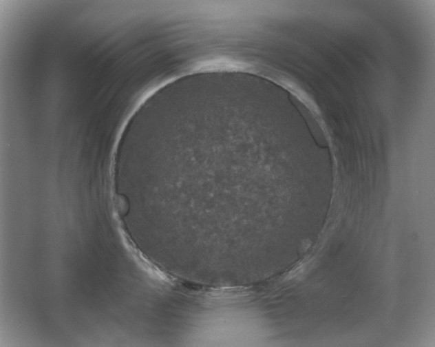 X0000066971008200603241205