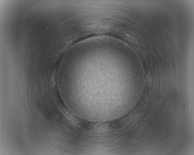 X0000066971012200603241205