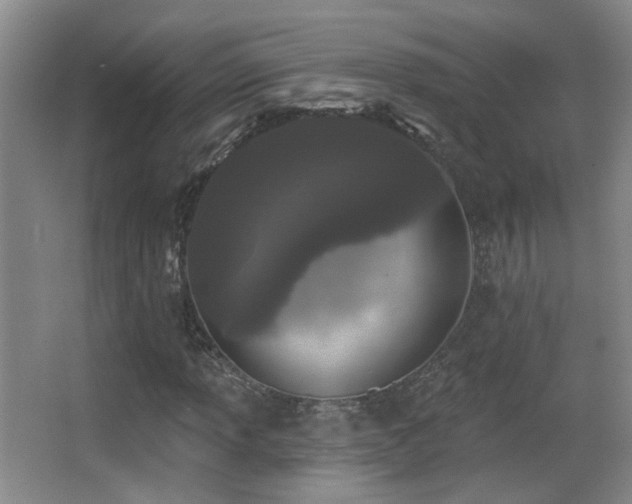 X0000066971013200603241205