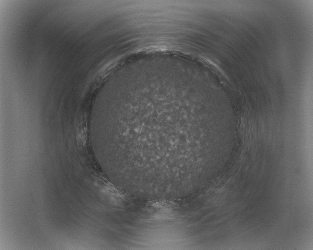 X0000066971015200603241205