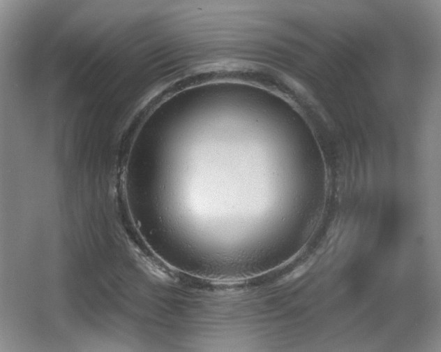 X0000066971017200603241205