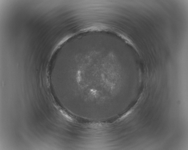 X0000066971018200603241205