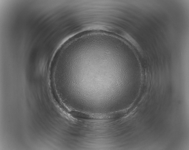 X0000066971020200603241205