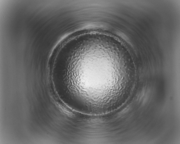 X0000066971021200603241205