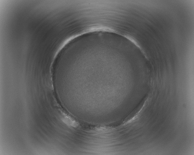 X0000066971022200603241205