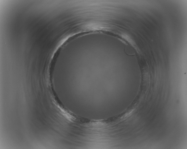 X0000066971023200603241205