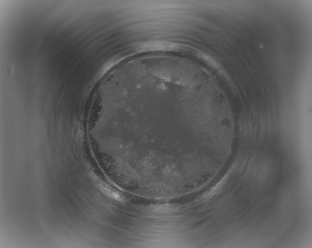 X0000066971025200603241205