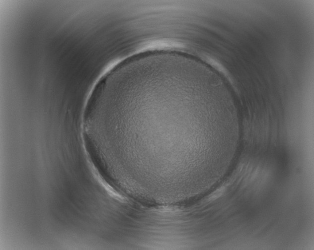 X0000066971029200603241205