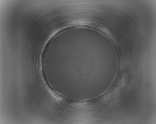 X0000066971031200603241205