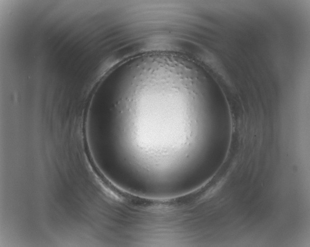 X0000066971033200603241205