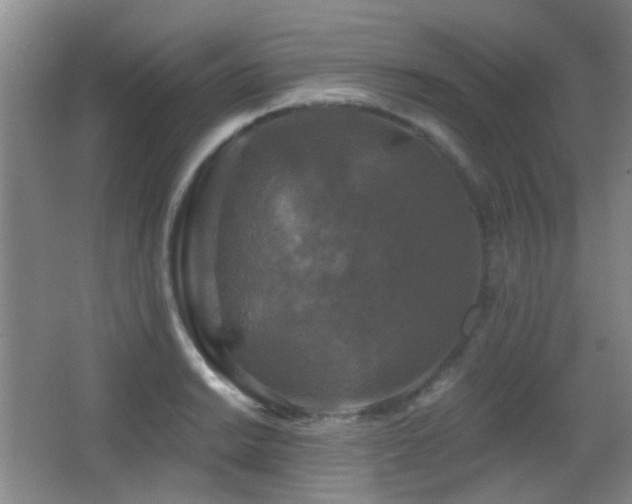 X0000066971038200603241205