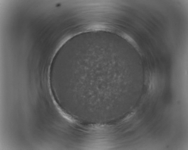 X0000066971039200603241205