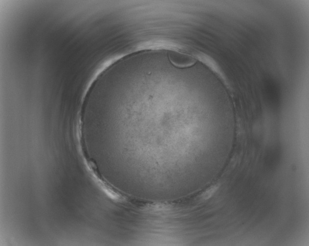 X0000066971040200603241205