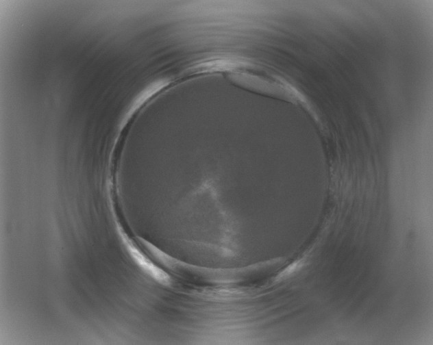 X0000066971042200603241205