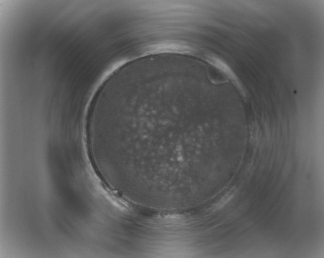 X0000066971043200603241205