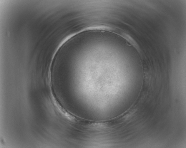 X0000066971044200603241205