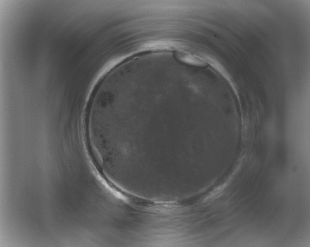 X0000066971045200603241205