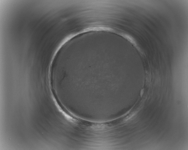 X0000066971046200603241205