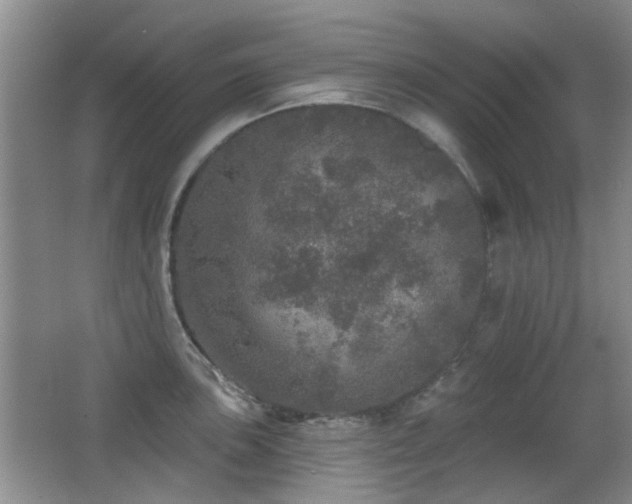 X0000066971051200603241205