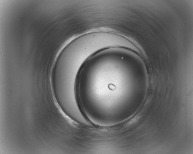 X0000066971054200603241205