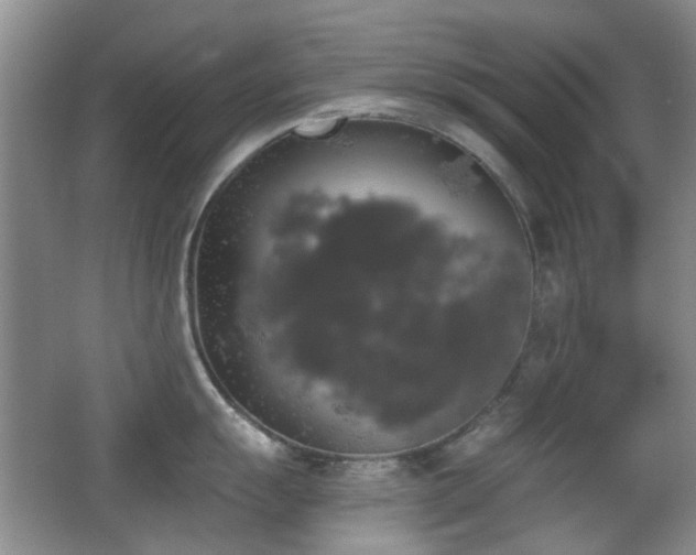 X0000066971055200603241205