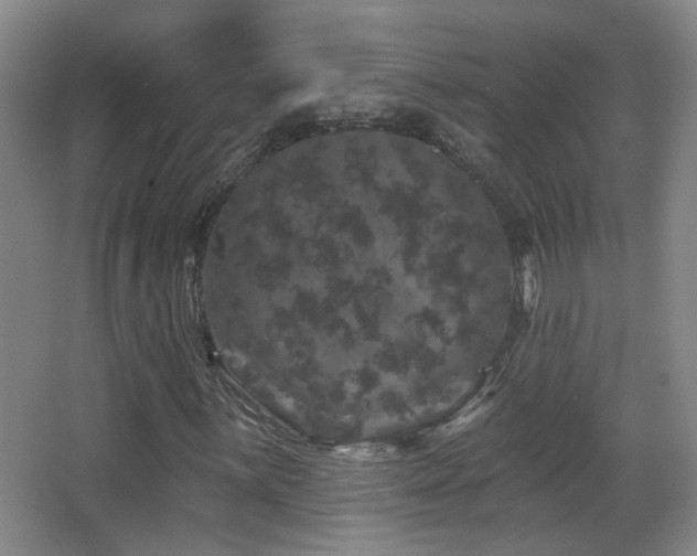 X0000066971059200603241205